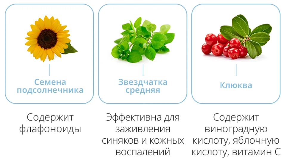 flavonoidy