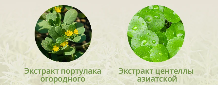 extract centelly